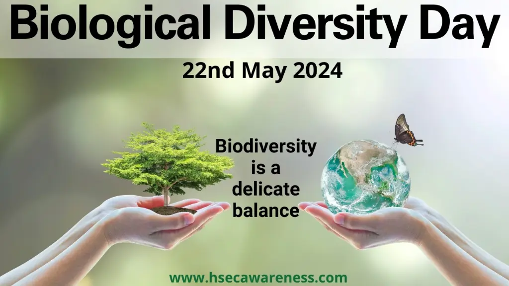 International Biodiversity Day 2024 Understanding The Value Of