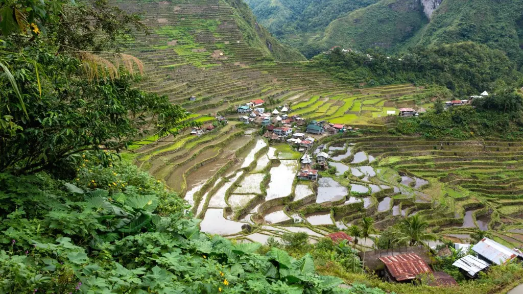 Human-made Wetlands