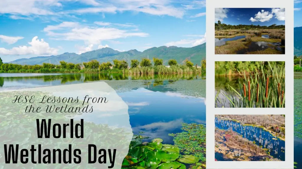 Celebrating World Wetlands Day 2024: HSE Lessons from the Wetlands