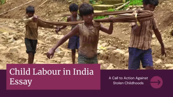 child labour in india essay