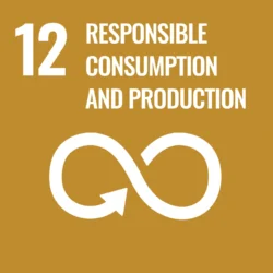 Sustainable Development Goal (SDG) no. 12: Responsible Consumption and Production