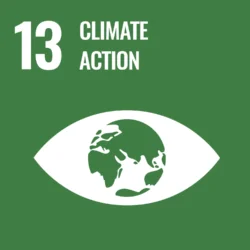 Sustainable Development Goal (SDG) no. 13: Climate Action