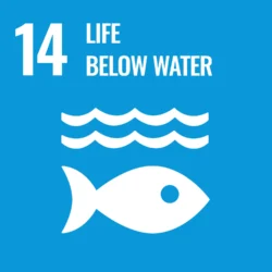 Sustainable Development Goal (SDG) no. 14: Life Below Water