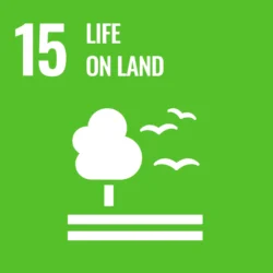 Sustainable Development Goal (SDG) no. 15: Life on Land