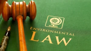 Environmental Laws in India