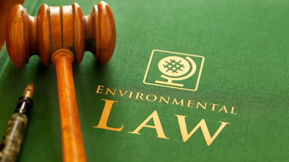 Environmental Laws in India: Your Green Guide to Compliance