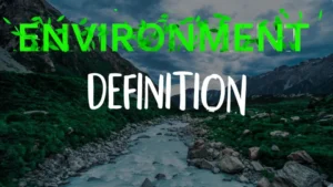 environmental terms and definitions