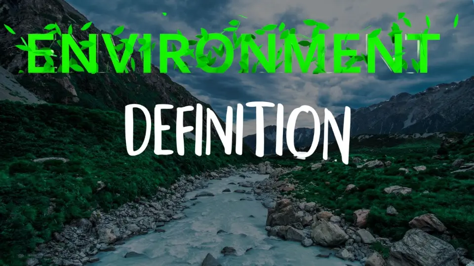 Environmental Terms and Definitions: Your A-Z Guide