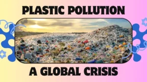 Plastic Pollution in 2025