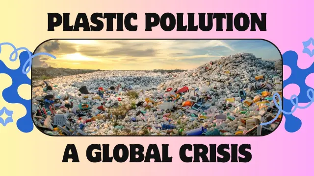 Plastic Pollution in 2025: Alarming Facts and Everyday Solutions